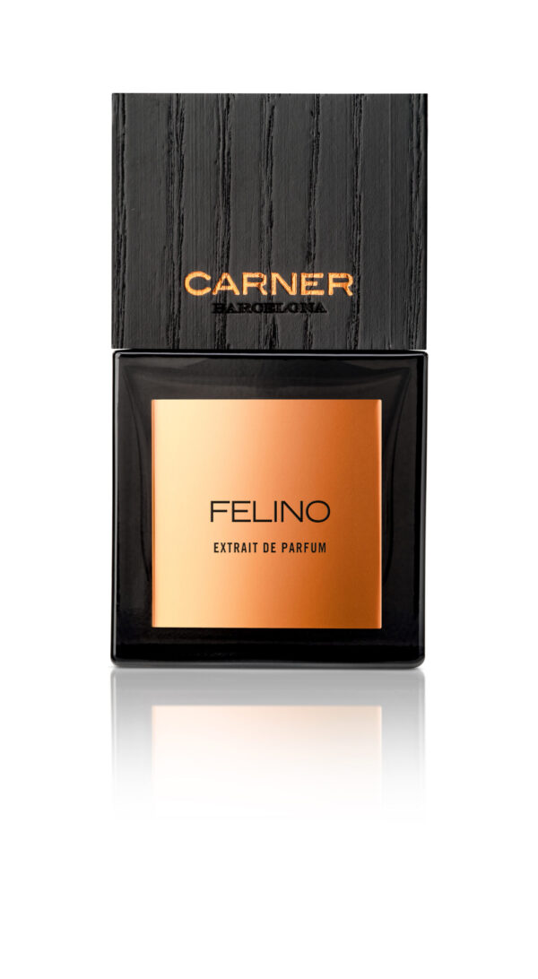 Carner_Felino